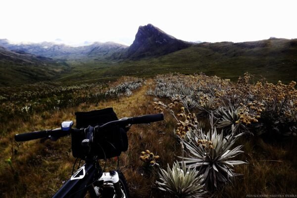 The Ghost & The Garden: Ruins and Paramos