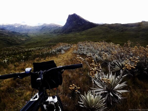 The Ghost & The Garden: Ruins and Paramos